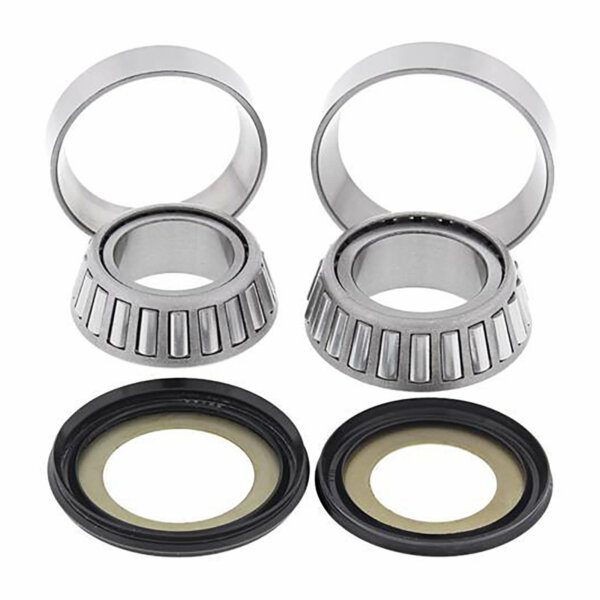 STEERING HEAD BEARING & SEAL KIT 22-1009