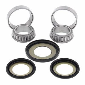 STEERING HEAD BEARING & SEAL KIT 22-1048