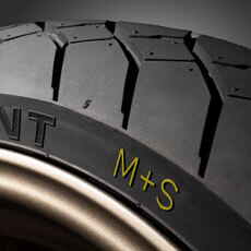 Dunlop Mutant Tyre Profile